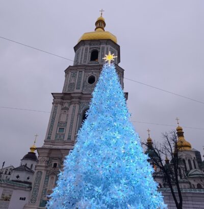 Ялинка Сосна лита хвоя стовбурова від 5 до 15 метрів